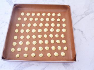 12、鸡蛋小饼干,再均匀的挤在烤盘上，烤盘记得铺上油纸或者耐高温油布