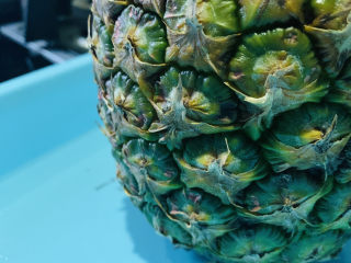 1、菠萝披萨,菠萝洗净
