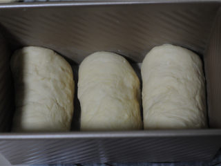 5、黄金三明治,面团排气，分成三份，分别擀成长条，卷起来，放入土司盒，二发至两倍大