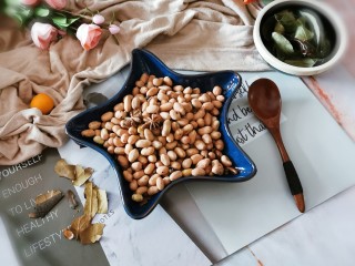 16、盐焗花生米,完全凉透  轻轻一碰外皮就会脱落  醇香酥脆  