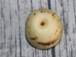 1、水果沙拉,准备一个梨