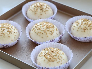 7、芝士肉排汉堡,再将面团分别滚圆放入纸模中，没有纸模就直接排放烤盘中，每个汉堡胚之间要留有一定的空隙，表面喷洒适量清水，然后均匀的撒上芝麻