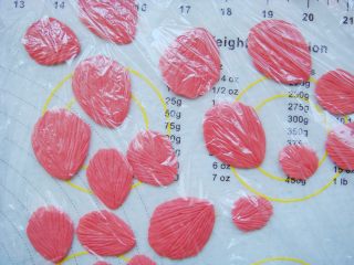 7、国色天香立体饼干,做好的花瓣要用保鲜膜盖上，避免风干。