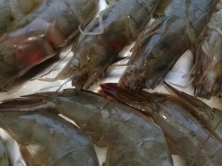 5、烤虾,烤盘铺上锡纸，将虾均匀地摆到锡纸上，