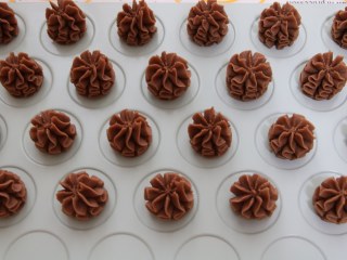 9、好吃到停不下来的珍妮曲奇小花（巧克力篇）,9、烤箱预热130℃，预热好之后放入烤盘，中层120℃烤制45-50分钟。