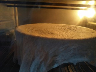 4、金枪鱼口袋包,将面团放入盘中盖布放入烤箱开启发酵功能发酵一小时。