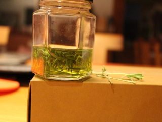 1、 迷迭香佛卡夏,将迷迭香叶放入初榨橄榄油，隔夜备用。