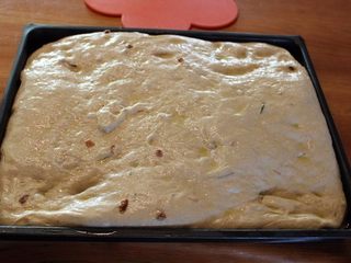 7、 迷迭香佛卡夏,将面团和烤盘用毛巾覆盖，进行最后发酵1小时。这是发酵好的面团。