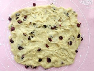 14、蔓越莓甜司康,静置松弛好的面团摊 开；