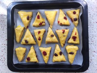 19、蔓越莓甜司康,刷适量蛋黄液；