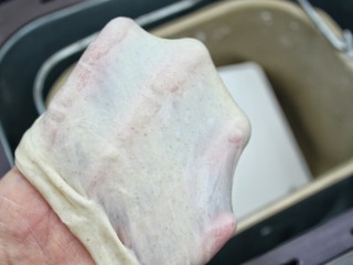 2、热狗面包,半小时后加入软化的黄油，继续揉至扩展阶段