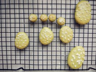 17、抹茶仙人掌马卡龙,取出晾凉，用融化的白巧克力在表面挤出一些小点，撒少许椰蓉，抖掉多余的部分