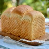 北海道吐司70冷藏中种