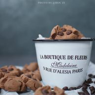 巧克力豆玛格丽特饼干