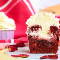 正宗红丝绒cupcake