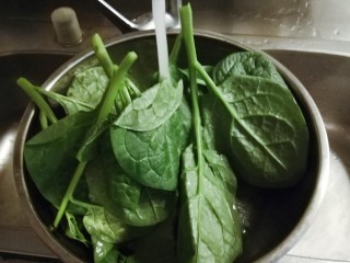 2、清炒木耳菜,冲洗干净