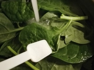 3、清炒木耳菜,水中加入盐  浸泡10分钟