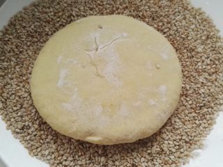 12、芝麻玉米面白糖饼,芝麻倒盘中，面剂沾水那面朝下，轻轻按一下，让芝麻粘满面剂。