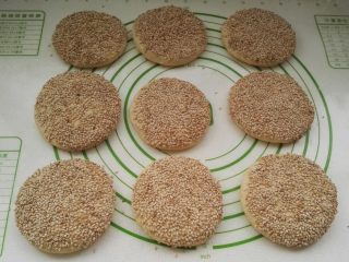 13、芝麻玉米面白糖饼,已经粘上芝麻的白糖面剂。