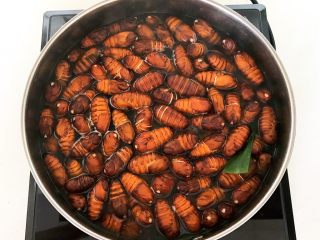 7、美味小零食 香酥开边蚕蛹,蚕蛹煮好了