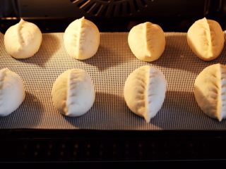 18、蘑菇海虹麦穗包,把包好的麦穗包子，放入蒸箱里举行二发，发至1.5倍大的蒸熟即可，如果是用蒸锅蒸的话，大火烧开后转中火蒸20分钟焖5分钟即可。