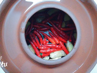 9、自然发酵泡菜,再放沥干了水份的指天椒！