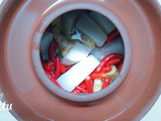 10、自然发酵泡菜,最后放沥干了水份的白萝卜和红萝卜下去！盖上盖子，在坛岩边上放满水，以防空气进去！