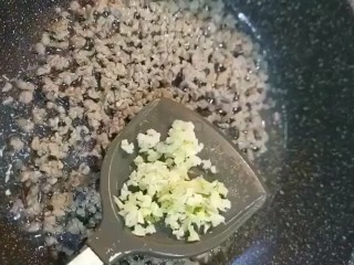 3、麻婆豆腐,起锅烧油放入肉末炒至变色，放姜蒜炒香