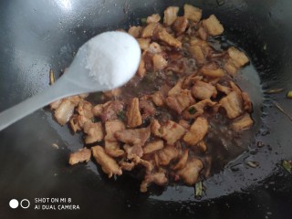 12、家常五花肉炒土豆,根据个人口味加入适量盐。