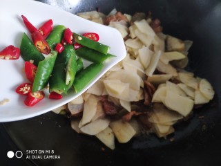 15、家常五花肉炒土豆,放入青红辣椒块。