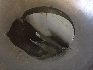 3、麻辣田螺,锅里放入适量的油