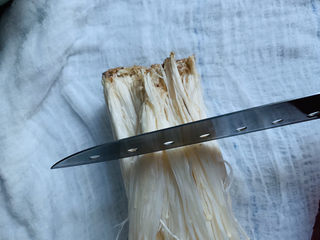 6、粉丝蒸金针菇,先将金针菇根部切下来;