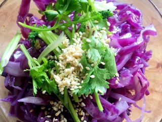 6、这是我吃过最好吃的凉拌紫甘蓝,把泡在纯净水里的紫甘蓝挤干水份，放香菜，芝麻。