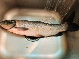 1、炖草鱼,新鲜草鱼买一条，一般超市或者市场都会帮忙宰杀，但是只是初步挖了鱼内脏，其他的细节，还是要我们在家自己处理干净的，先将草鱼表面清洗干净；