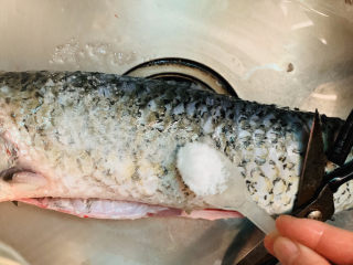 3、炖草鱼,鱼表面涂抹一层盐；