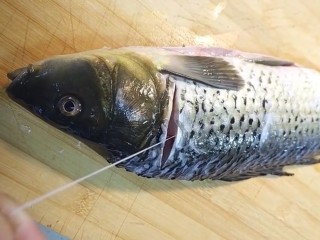1、红烧鲤鱼,鲤鱼处理干净，去掉鱼腥线