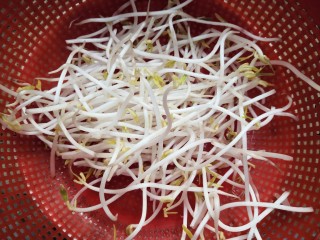 4、豆芽炒粉条,再次冲洗一边，沥干水份备用