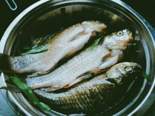 1、泡菜鲫鱼,鲫鱼洗干净 鱼身上划一些口 放入盐 料酒 姜 淀粉腌制二十分钟