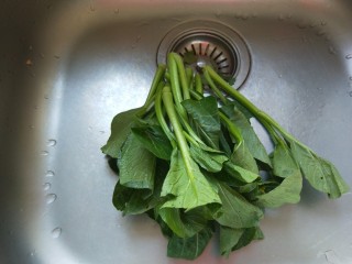 2、蚝油芥兰,芥兰洗干净。