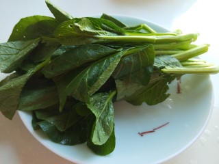 4、蚝油芥兰,装盘备用。