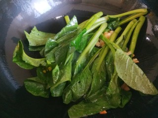 9、蚝油芥兰,倒入芥兰。