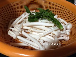 2、【青石居私房菜】之土匪鱼头,海鲜菇洗净、香菜一条
