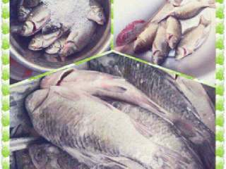 2、四川酸菜鱼,用红薯粉，盐，料酒腌制，让每一条鱼都沾上粉