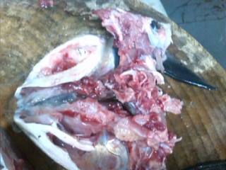 1、酸菜鱼,沿着鱼头断裂处的骨缝将两边鱼肉片下。这讲究刀工。刀身要紧贴鱼骨，片的时候鱼身要按紧，不然片不好也容易受伤。刀锋跟骨面有轻微摩擦声证明位置刚好，剩下的鱼身骨轻斩三下。不要斩断