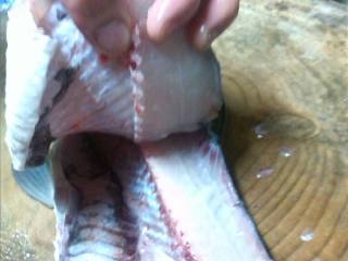 2、酸菜鱼,现在处理两片大鱼肉了。鱼肉上面有两块最嫩的软骨肉，片下的时候刀尽量沿着软骨肉的痕迹下手。