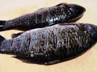 2、凉拌鲫鱼,将鲫鱼清理干净后用刀在鱼身上割几条口子。