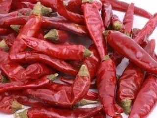 6、红烧羊排,干辣椒根据自己的口味适量准备!