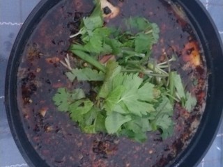 20、麻辣水煮黄辣丁,撒上香菜段就可以了