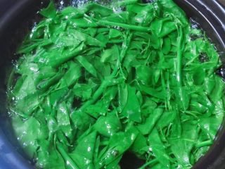3、凉拌树仔菜,锅里水烧开，加入树仔菜大火煮三分钟。