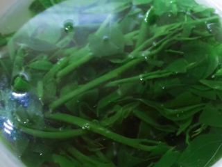 4、凉拌树仔菜,放入冰水过凉。